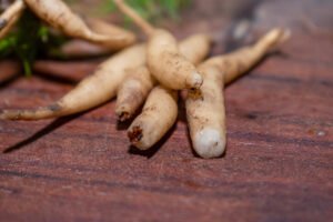 ashwagandha para la menopausia